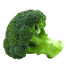 Lens Results Broccoli